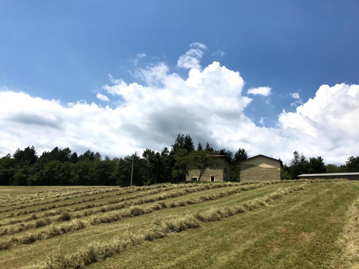Agriturismo Il Casone San Benedetto Val di Sambro Екстер'єр фото