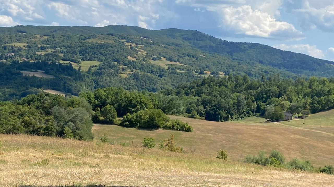 Agriturismo Il Casone San Benedetto Val di Sambro Екстер'єр фото