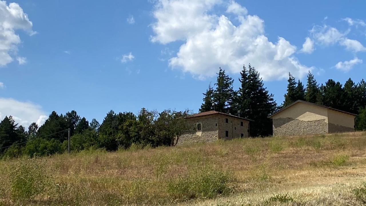 Agriturismo Il Casone San Benedetto Val di Sambro Екстер'єр фото